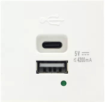 USB зарядное устройство, 4.2A , Type A + C, 2 мод., бел. (45х45мм)
