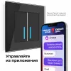 Werkel черный матовый Сенсорный выключатель 2-х клав. с подсветкой Умный дом Wi-Fi. W4520608 (фото 31)